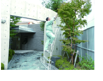 植栽 植栽